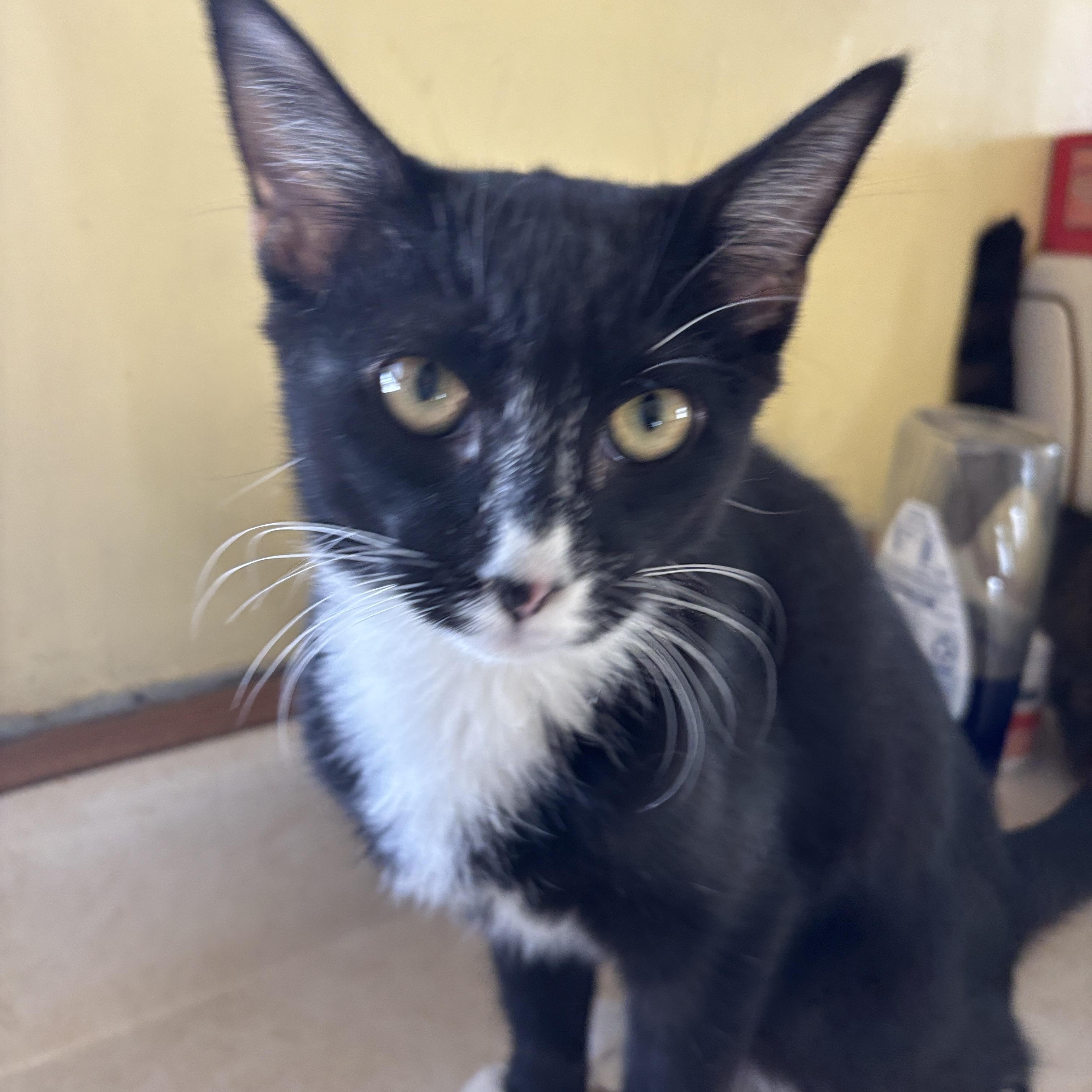 Loveland thumbnail 3