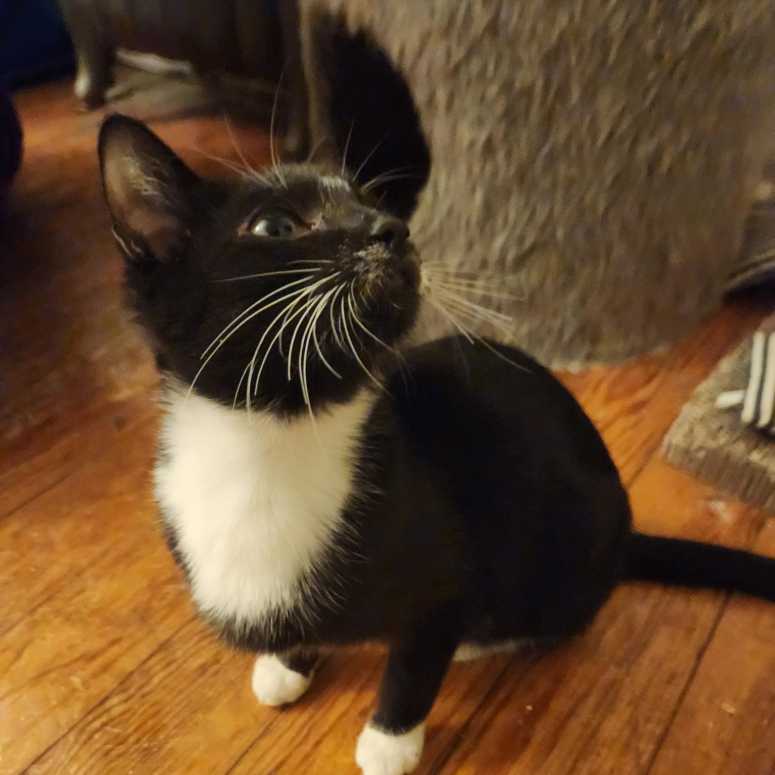 Gale And Lynda thumbnail 3