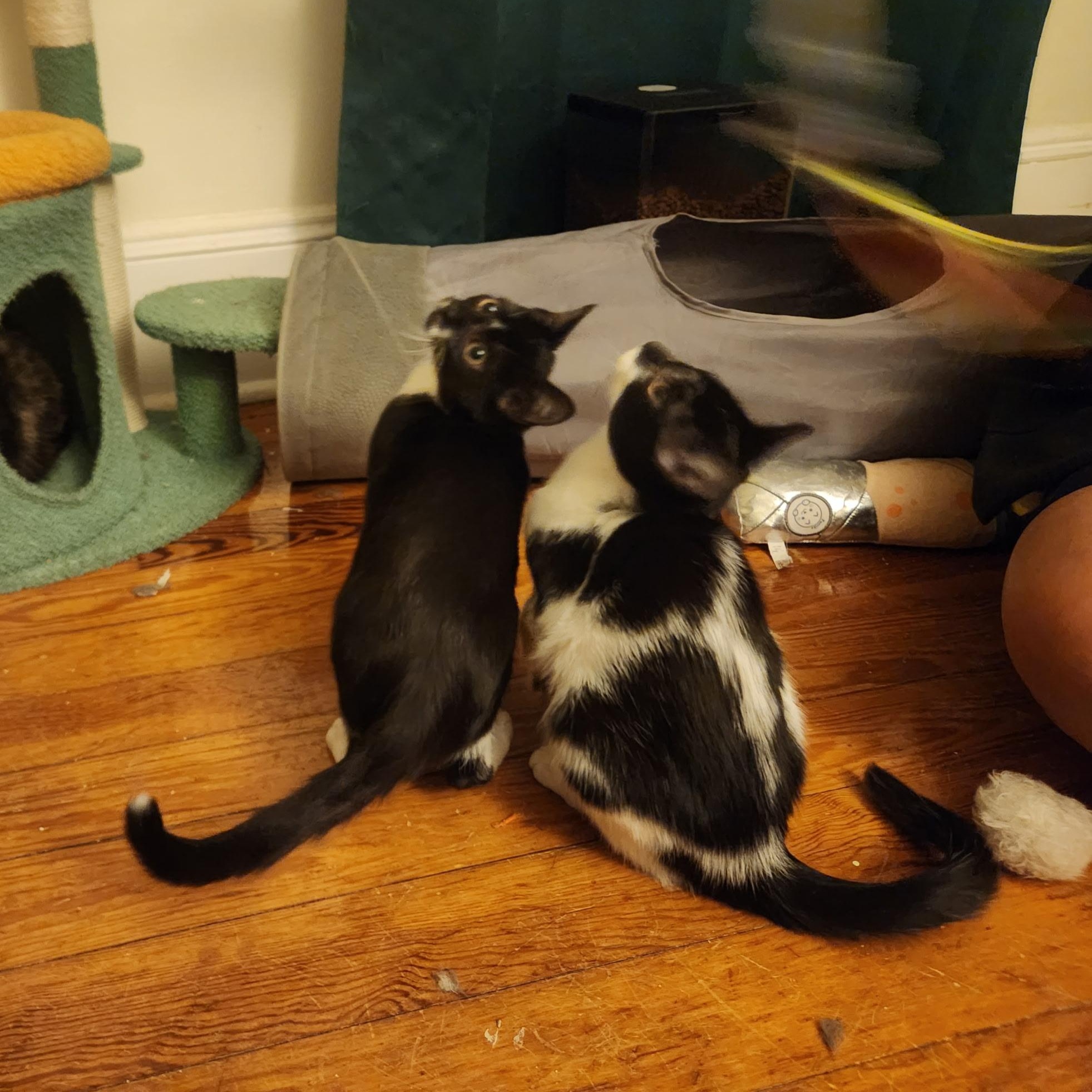 Gale And Lynda thumbnail 4