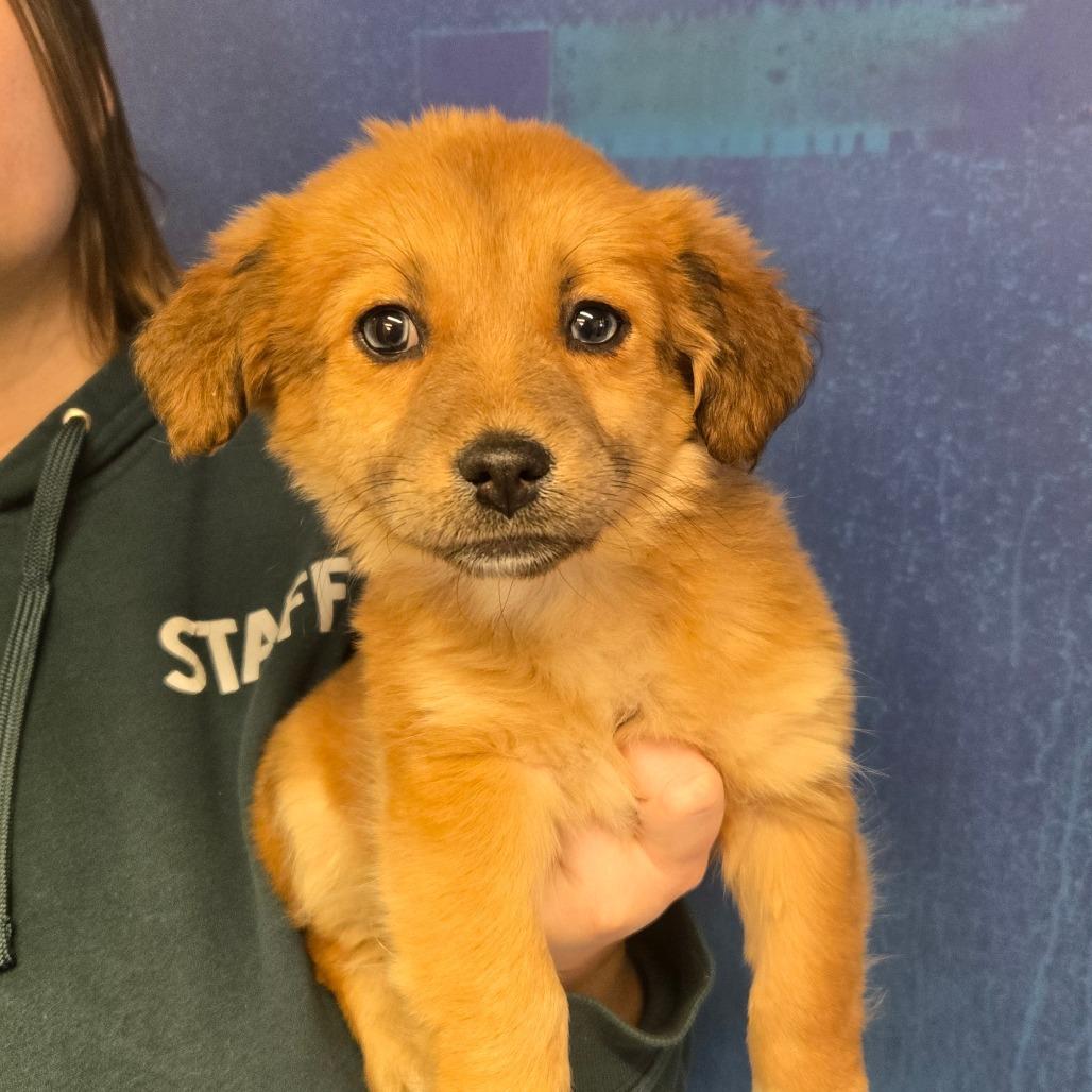 Ct Kermyt Avail Feb thumbnail 3