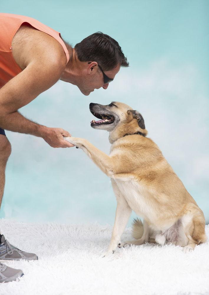 Sarge  Â Tennis thumbnail 2