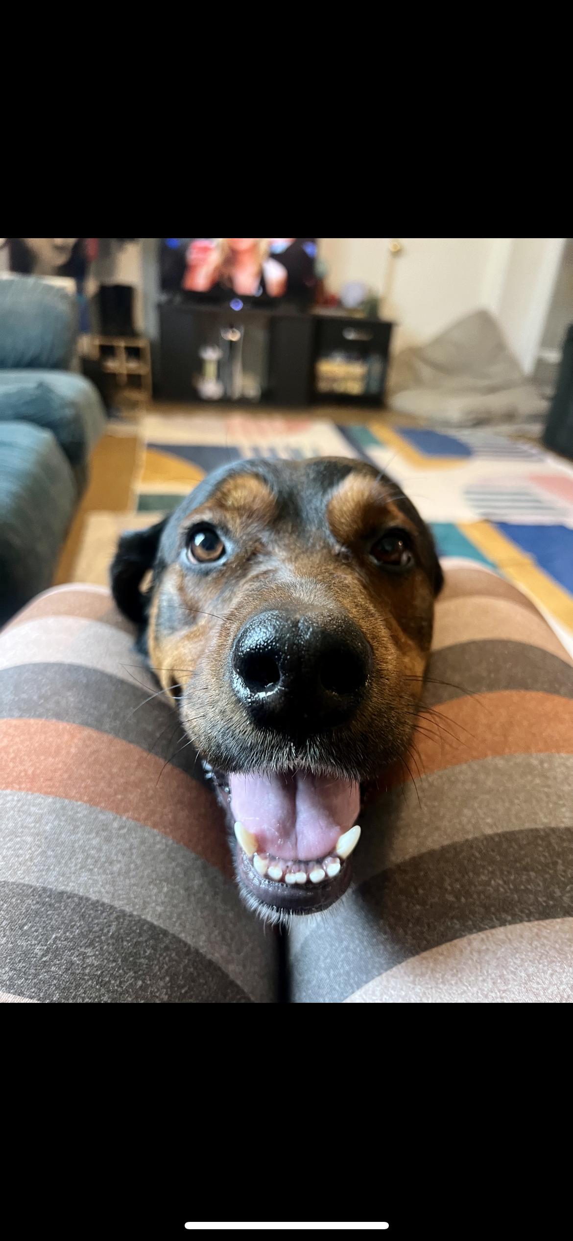 Hot Chocolate thumbnail 2