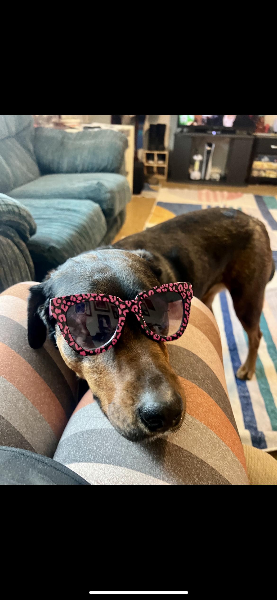 Hot Chocolate thumbnail 3