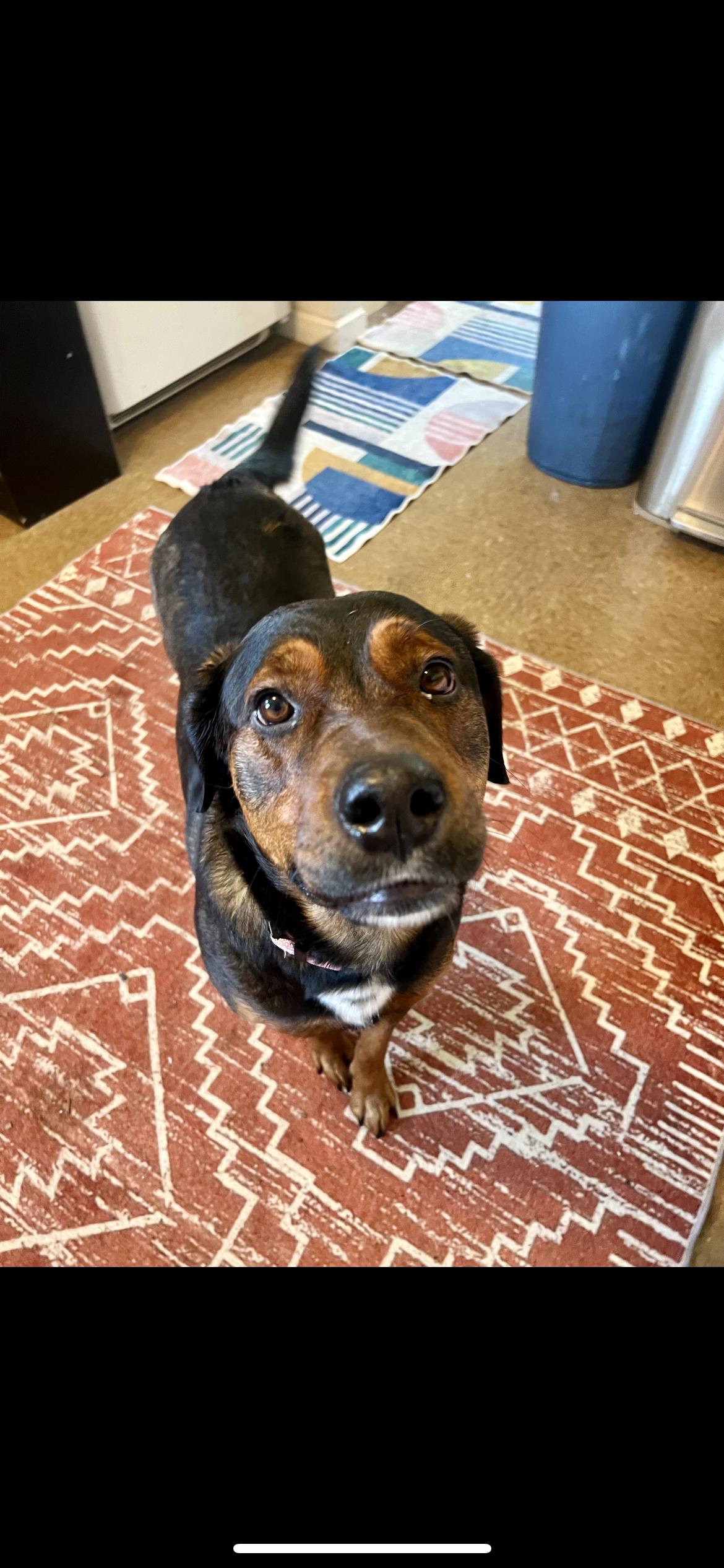 Hot Chocolate thumbnail 4