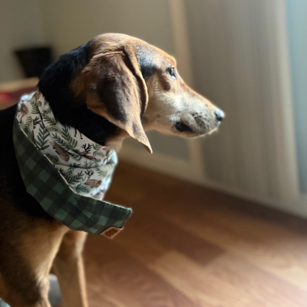 Jimmy Dean thumbnail 2