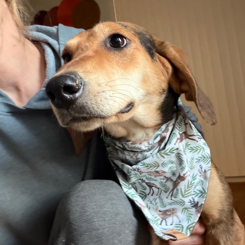 Jimmy Dean thumbnail 4