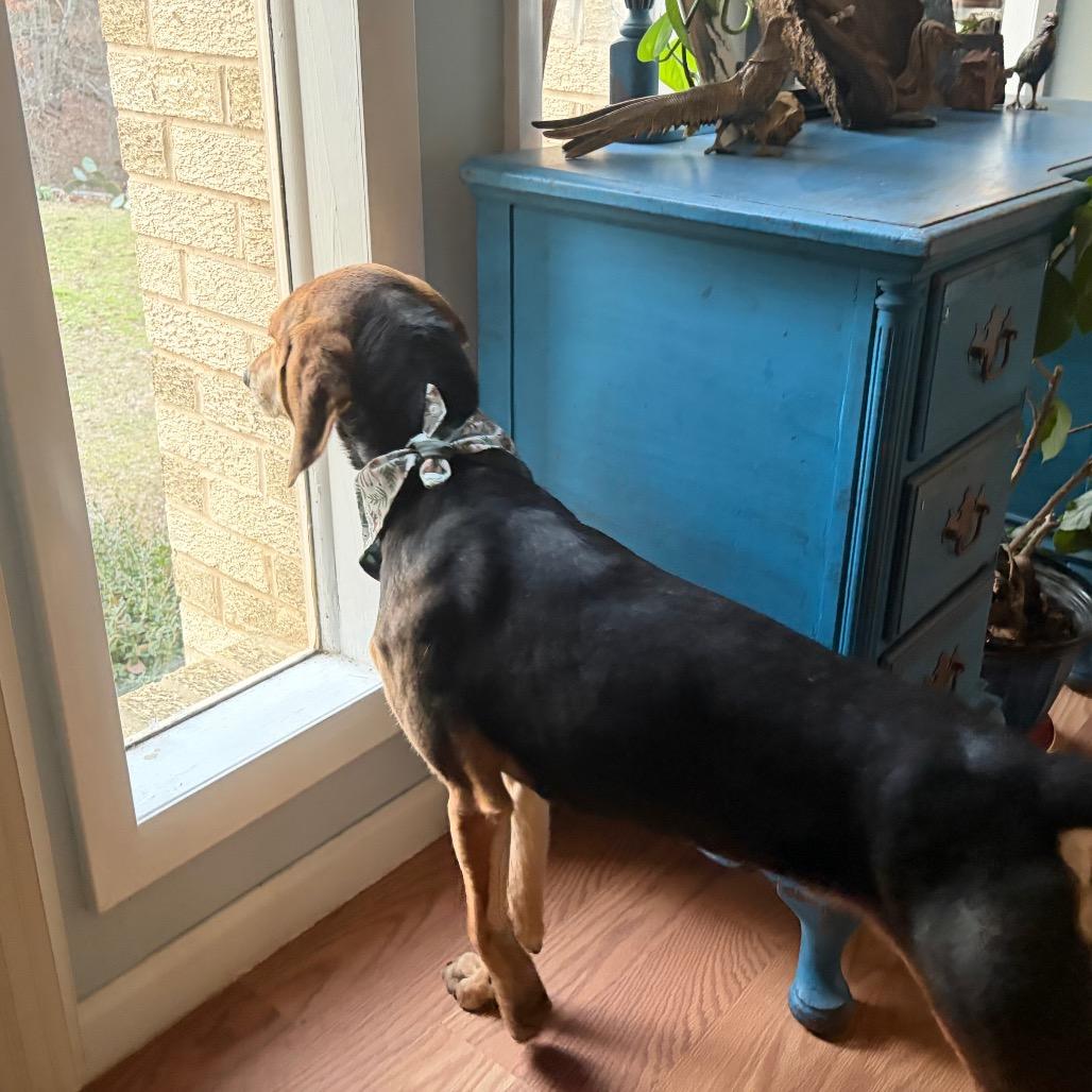 Jimmy Dean thumbnail 5