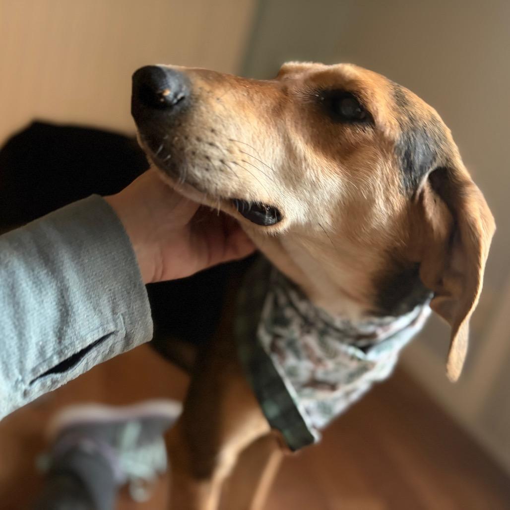 Jimmy Dean thumbnail 6