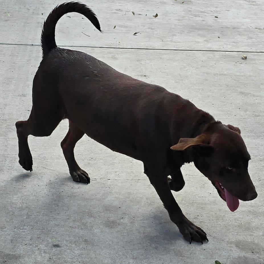 Roosevelt thumbnail 2