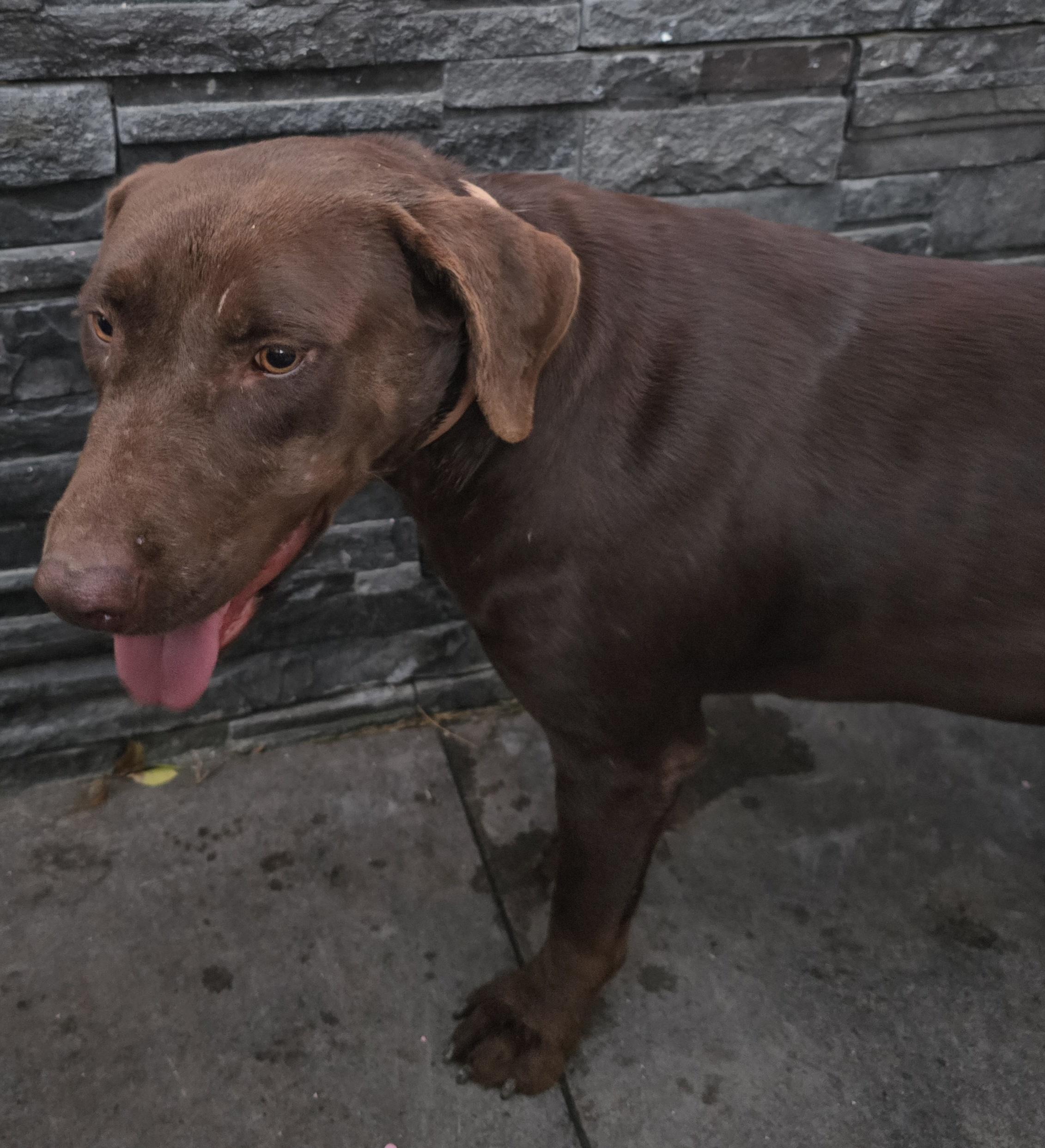 Roosevelt thumbnail 4