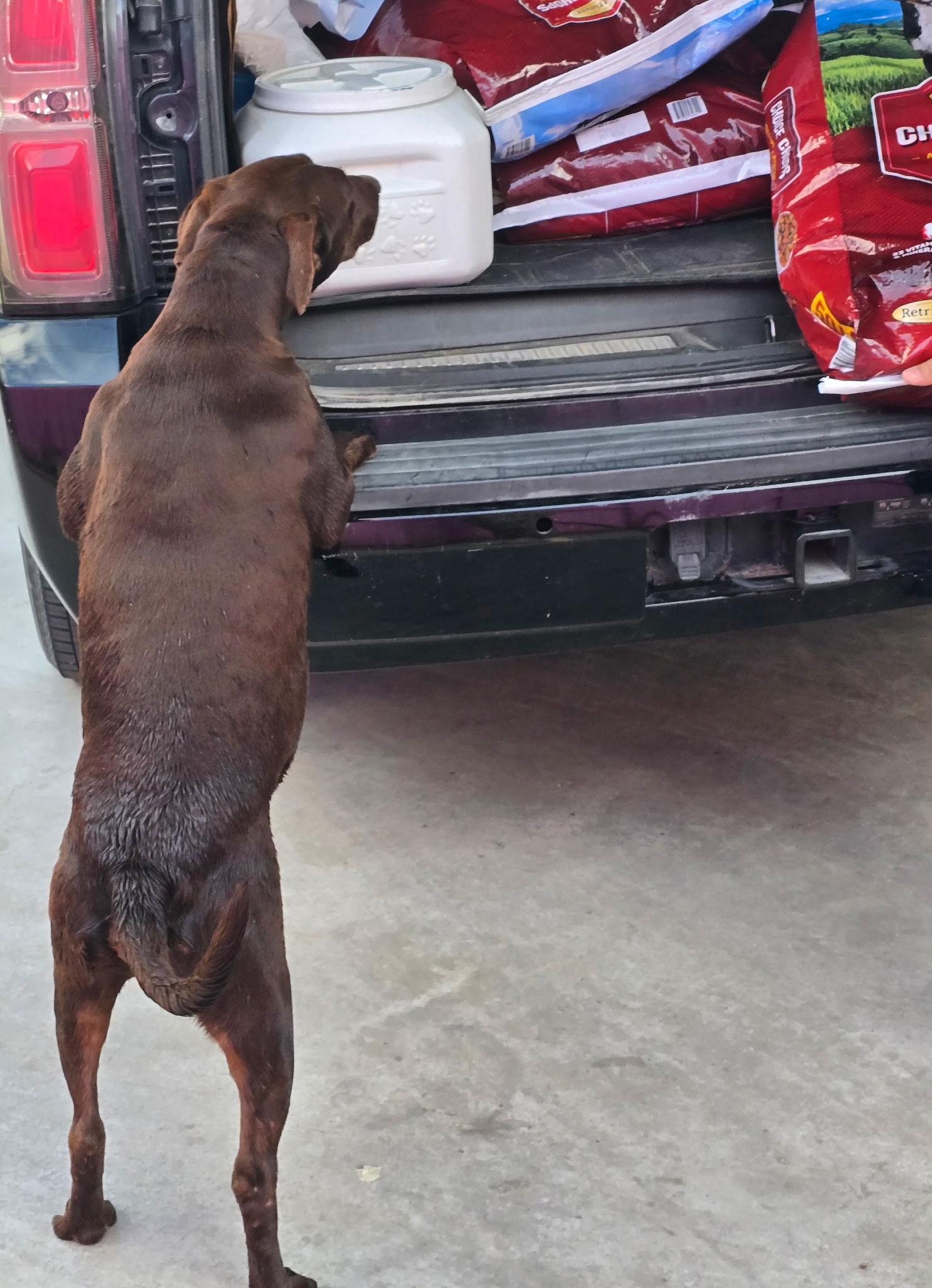 Roosevelt thumbnail 5