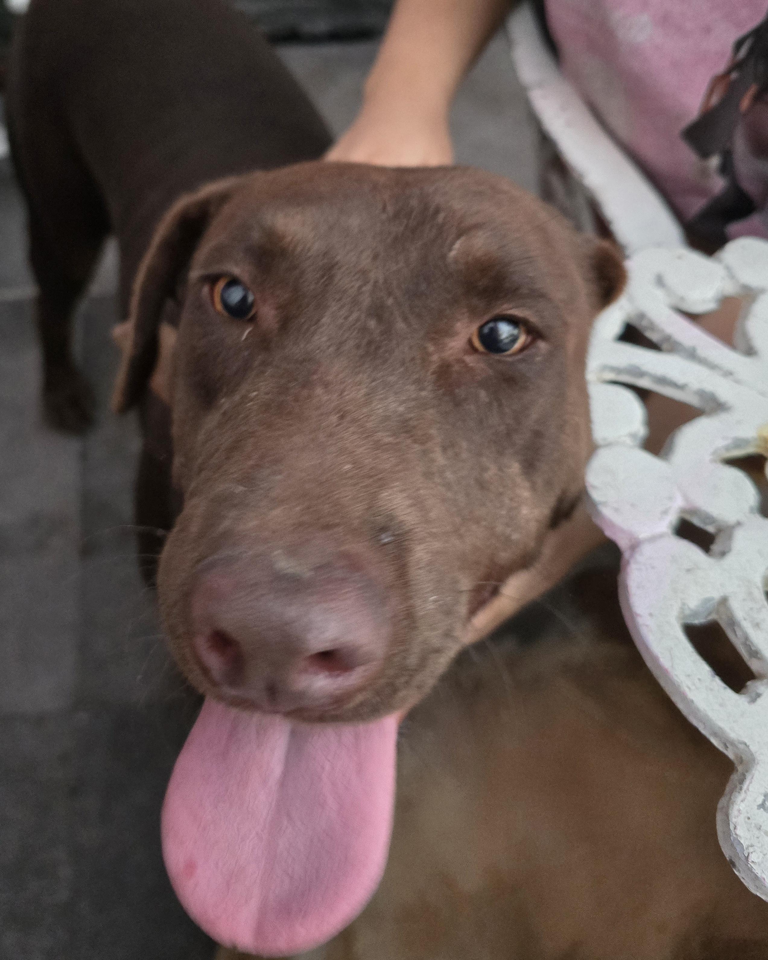 Roosevelt thumbnail 6