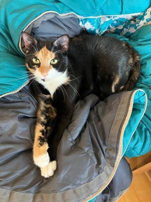 Laguna Monica Kailua