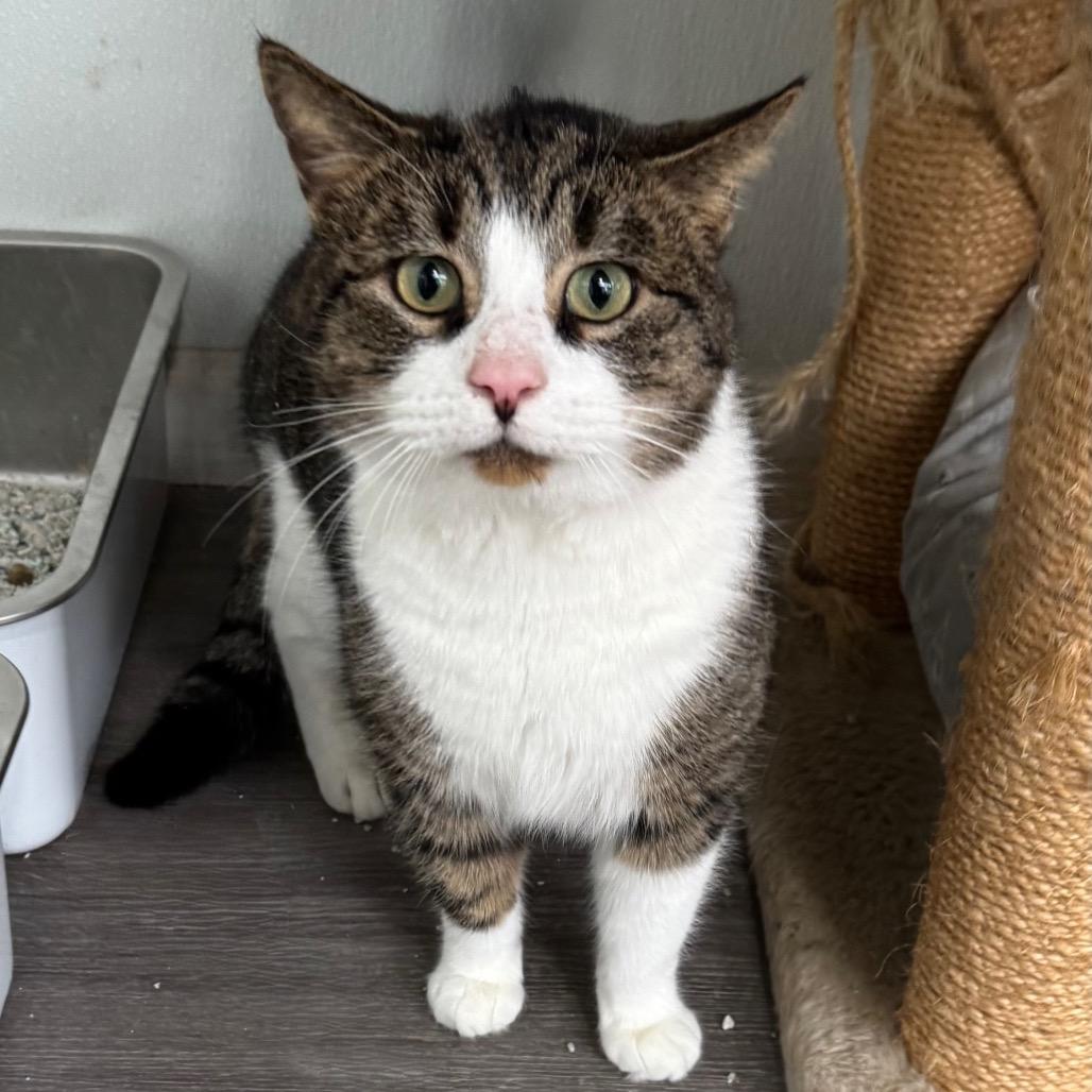 Dragon Killer thumbnail 2