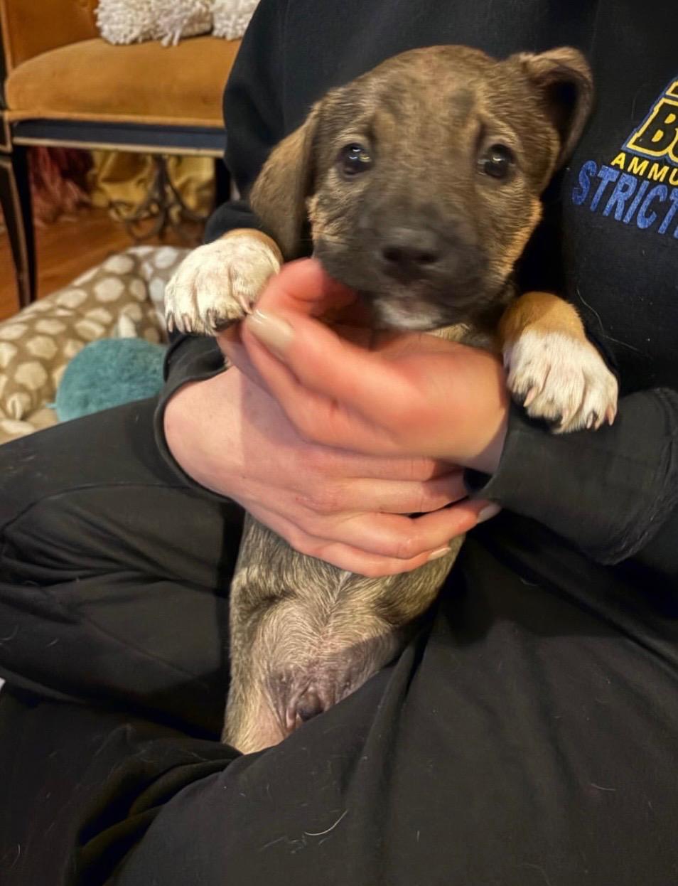 Rudy The Cutie thumbnail 2