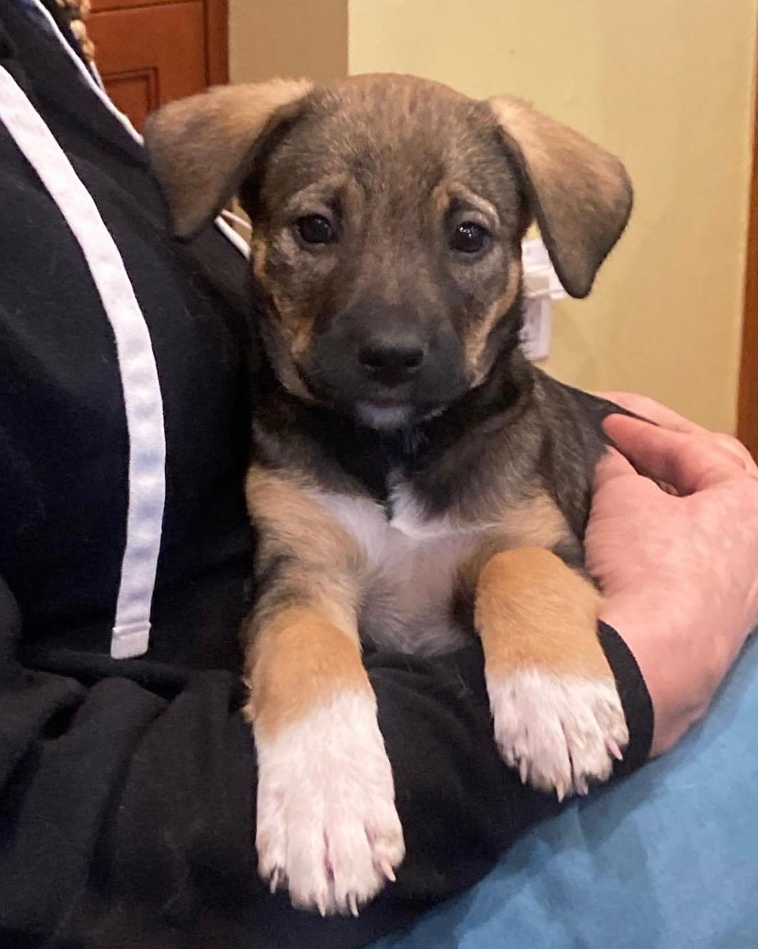 Rudy The Cutie thumbnail 5