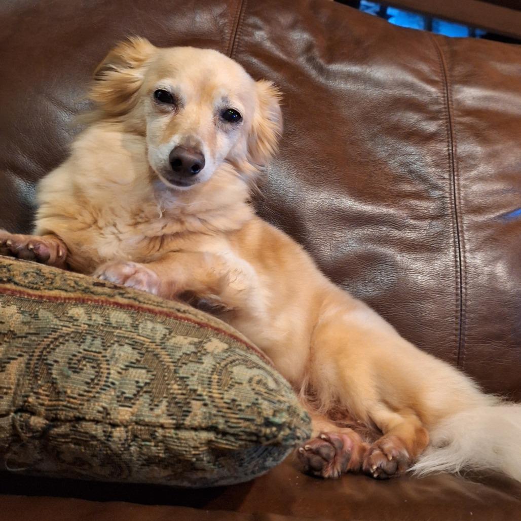 Chispita thumbnail 2