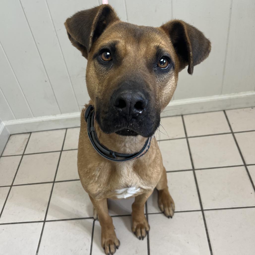 Tuscstray thumbnail 3