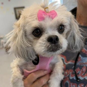 Maybelline Flagg thumbnail 2