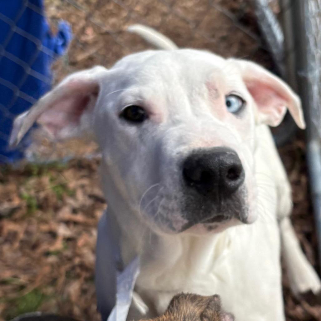 Professor thumbnail 2