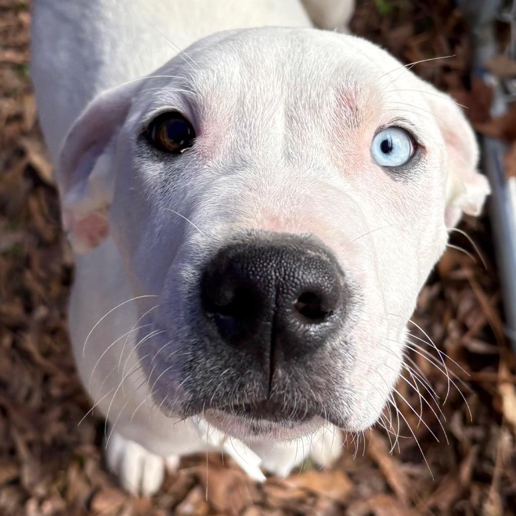 Professor thumbnail 3