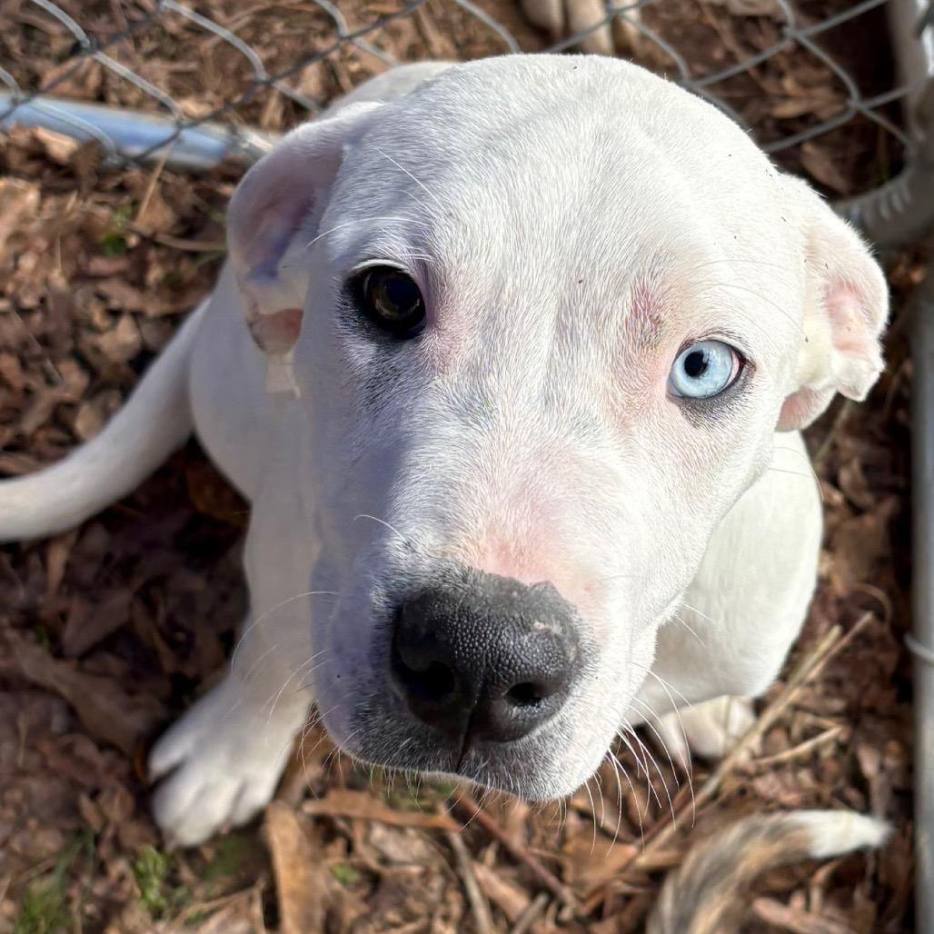 Professor thumbnail 4