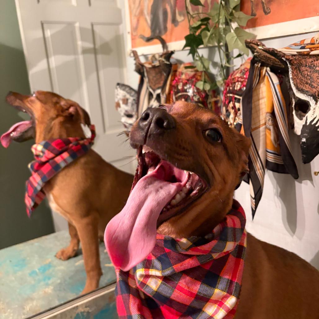 Robin Hood thumbnail 2