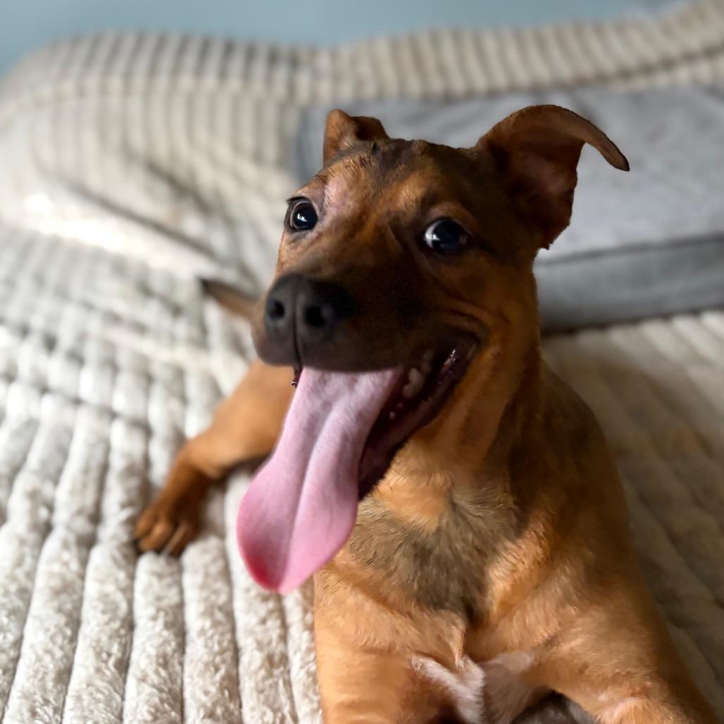 Robin Hood thumbnail 3