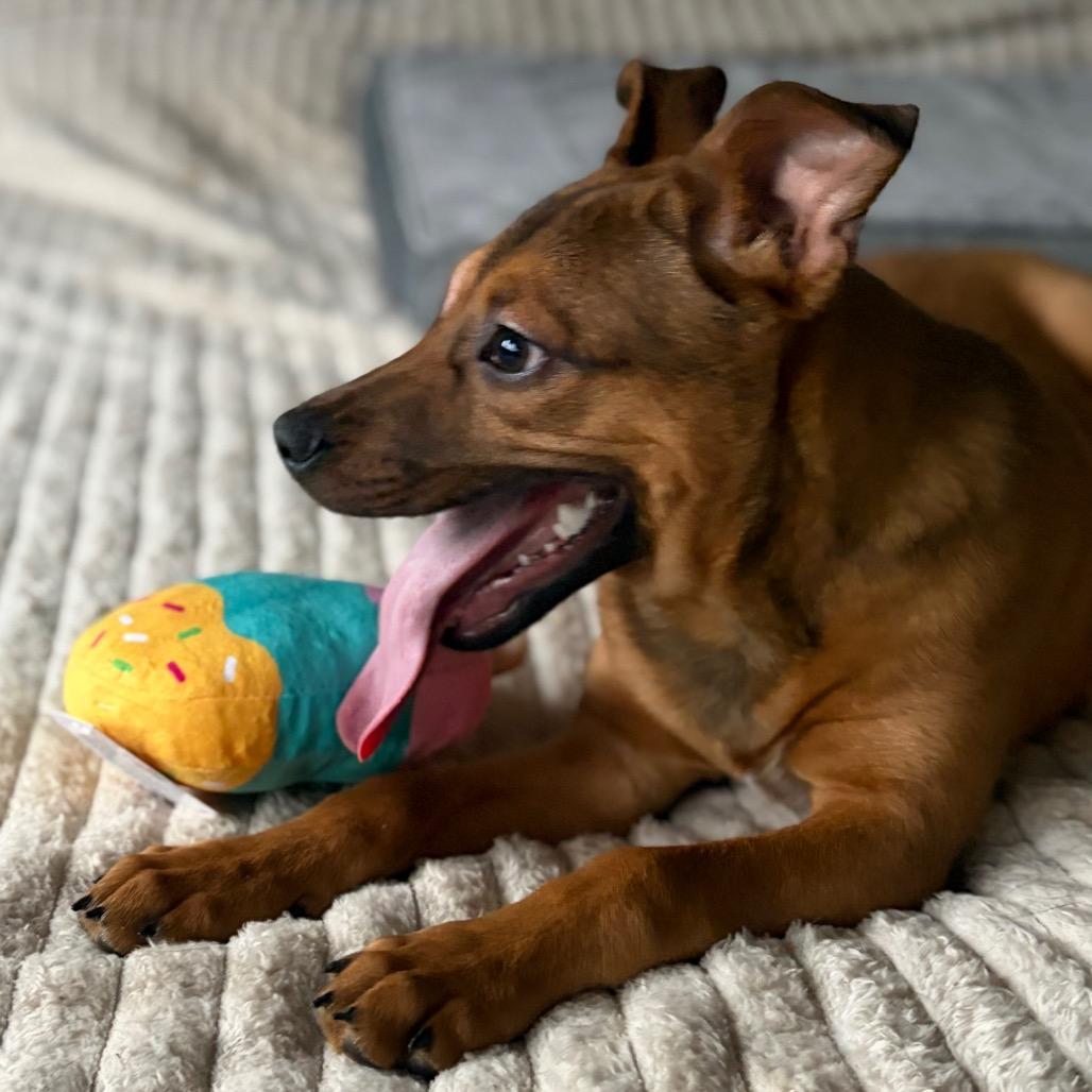 Robin Hood thumbnail 4