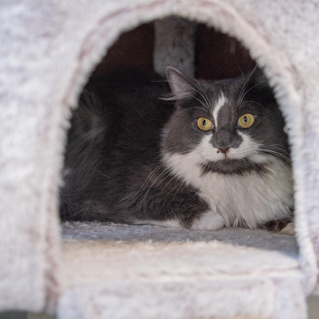 Oscar Bonded W Mccartney thumbnail 2