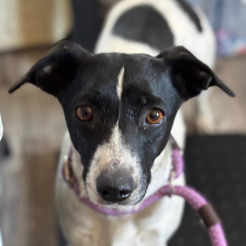 Magnolia Mae thumbnail 2