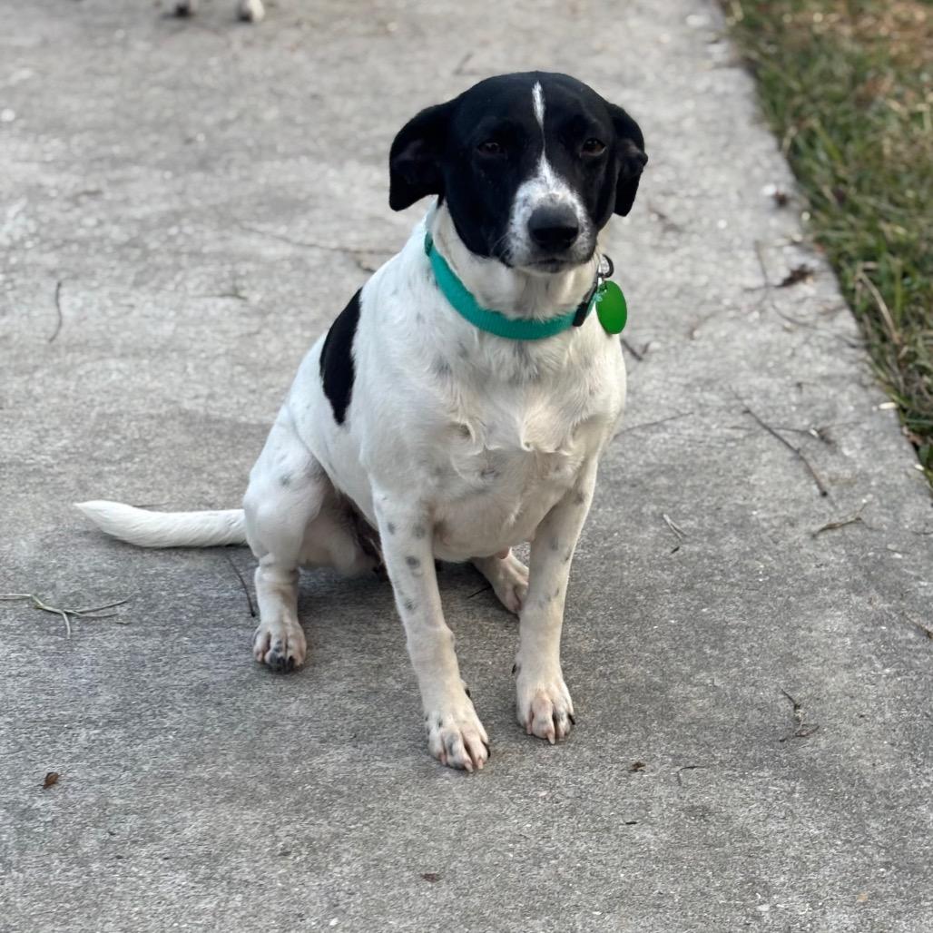 Magnolia Mae thumbnail 3