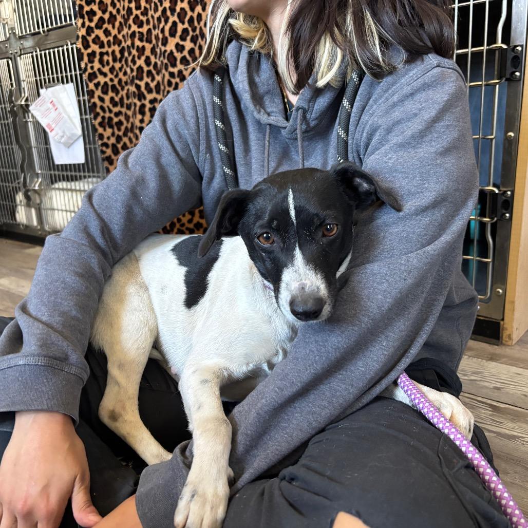 Magnolia Mae thumbnail 4