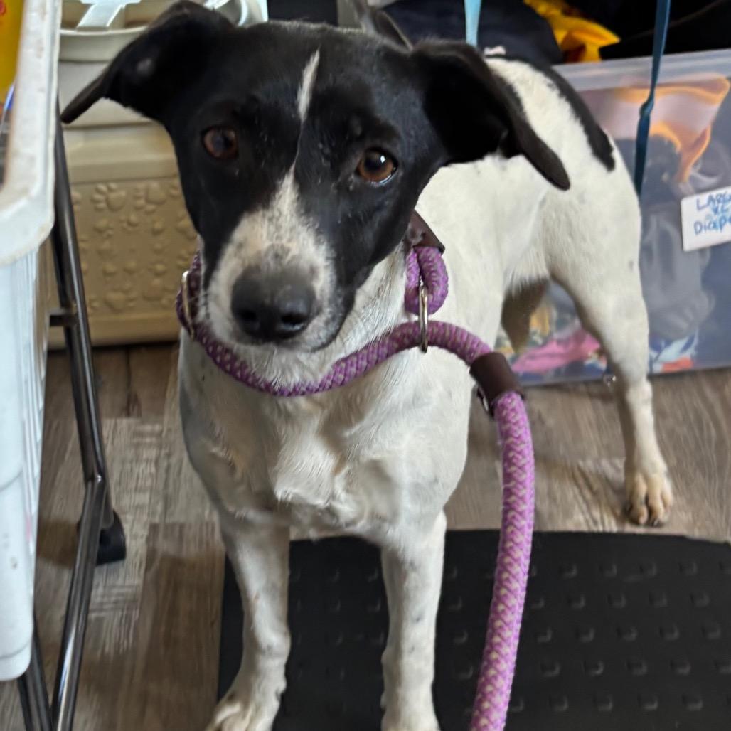 Magnolia Mae thumbnail 6