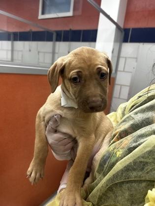 Dashboard thumbnail 2