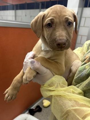 Dashboard thumbnail 3