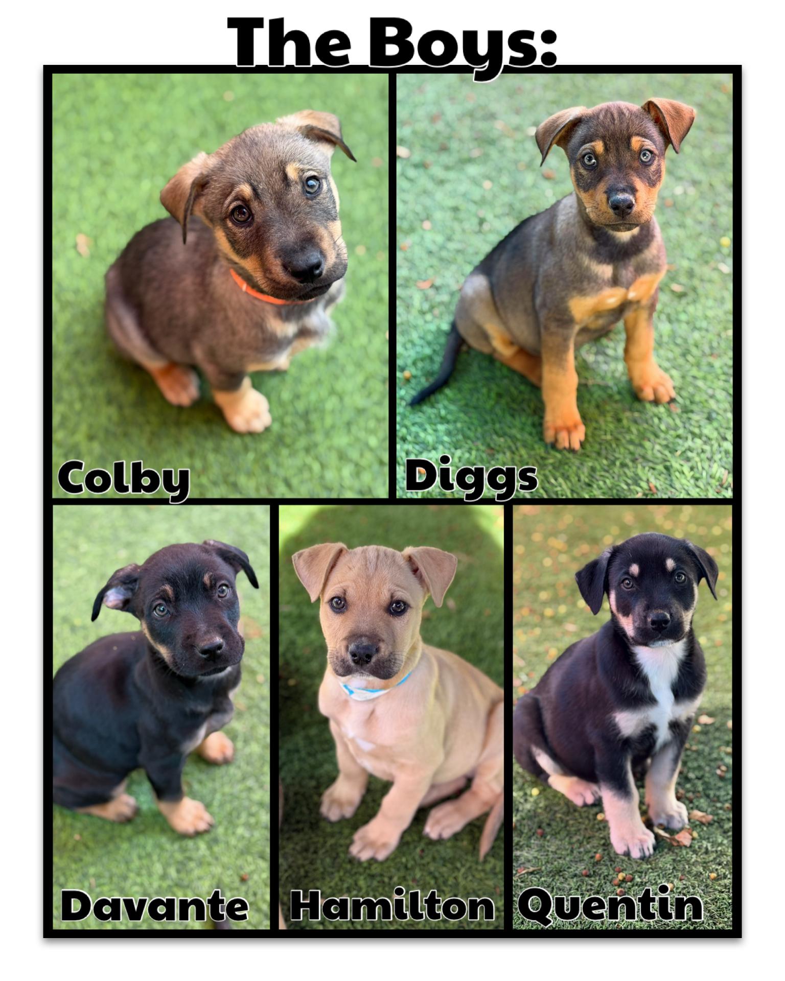 Margo's Litter thumbnail 2