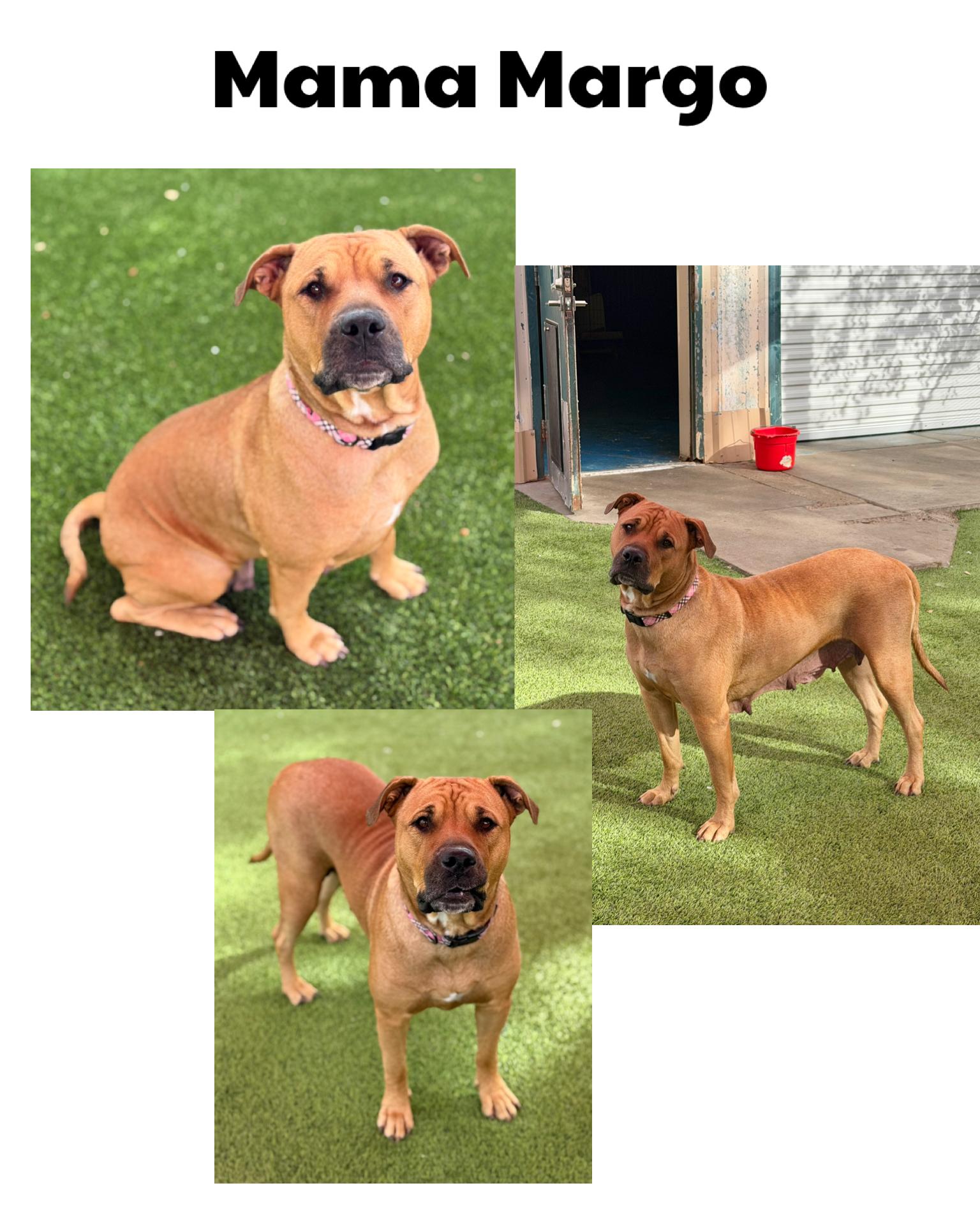 Margo's Litter thumbnail 3