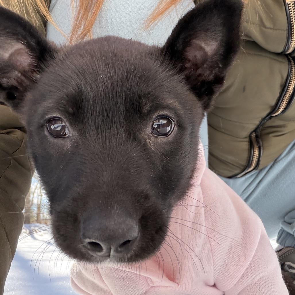 Betty Boop thumbnail 2