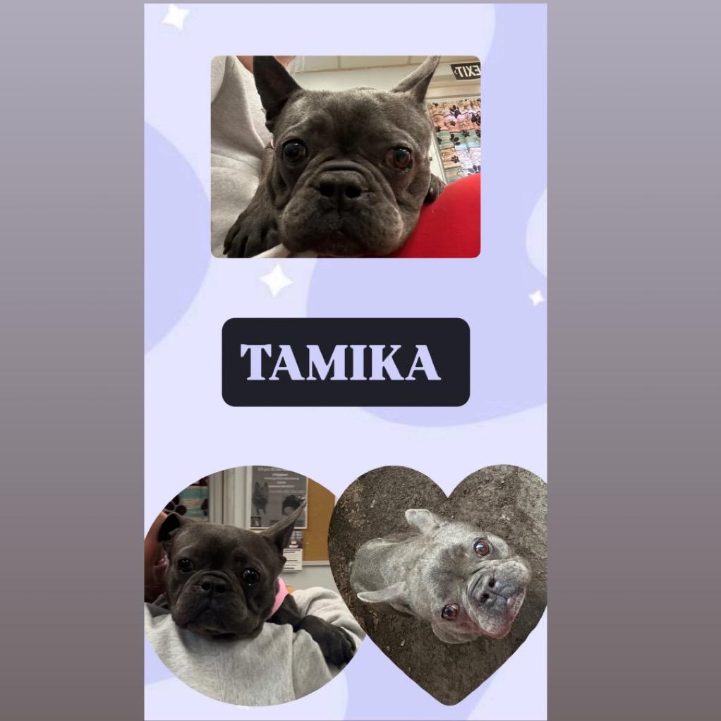 Tamika thumbnail 2