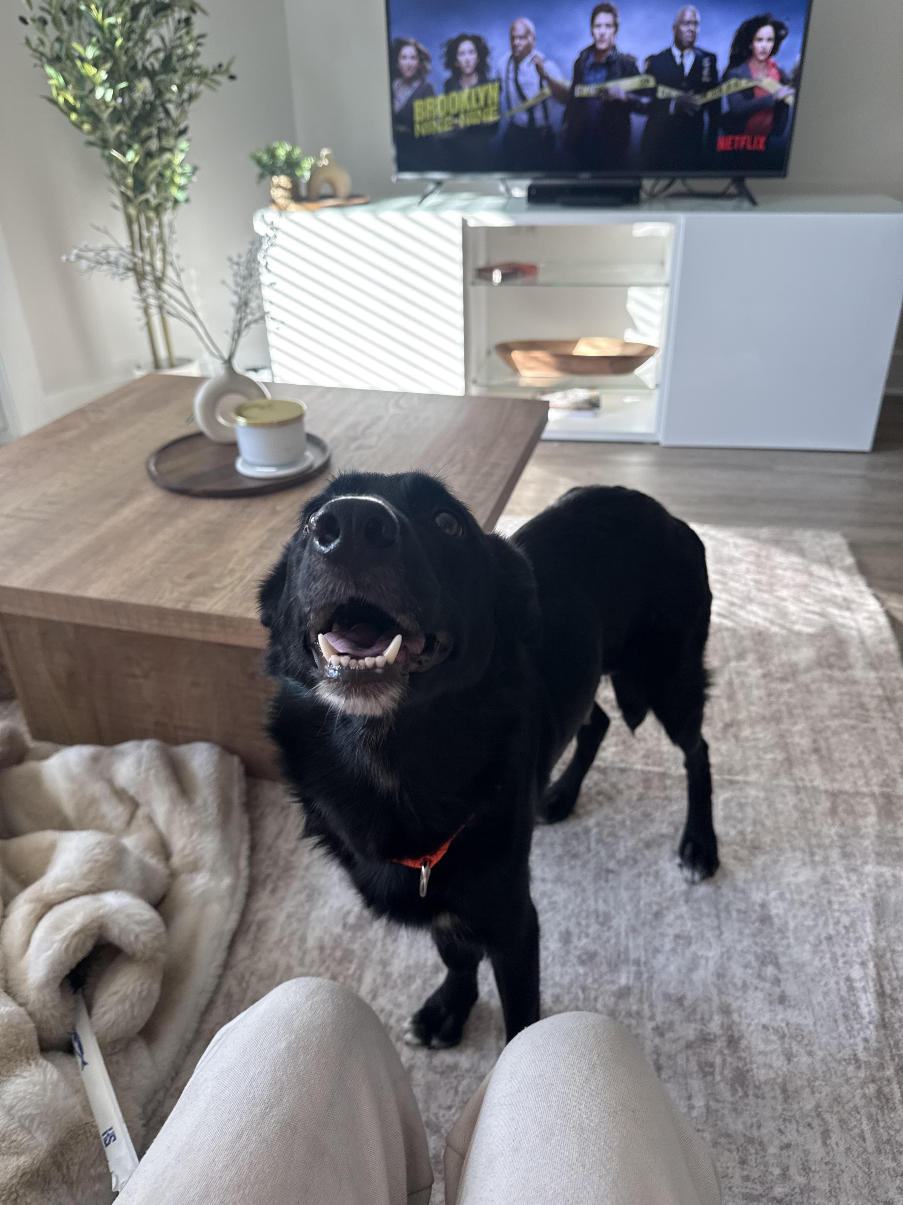 Scarlett thumbnail 2