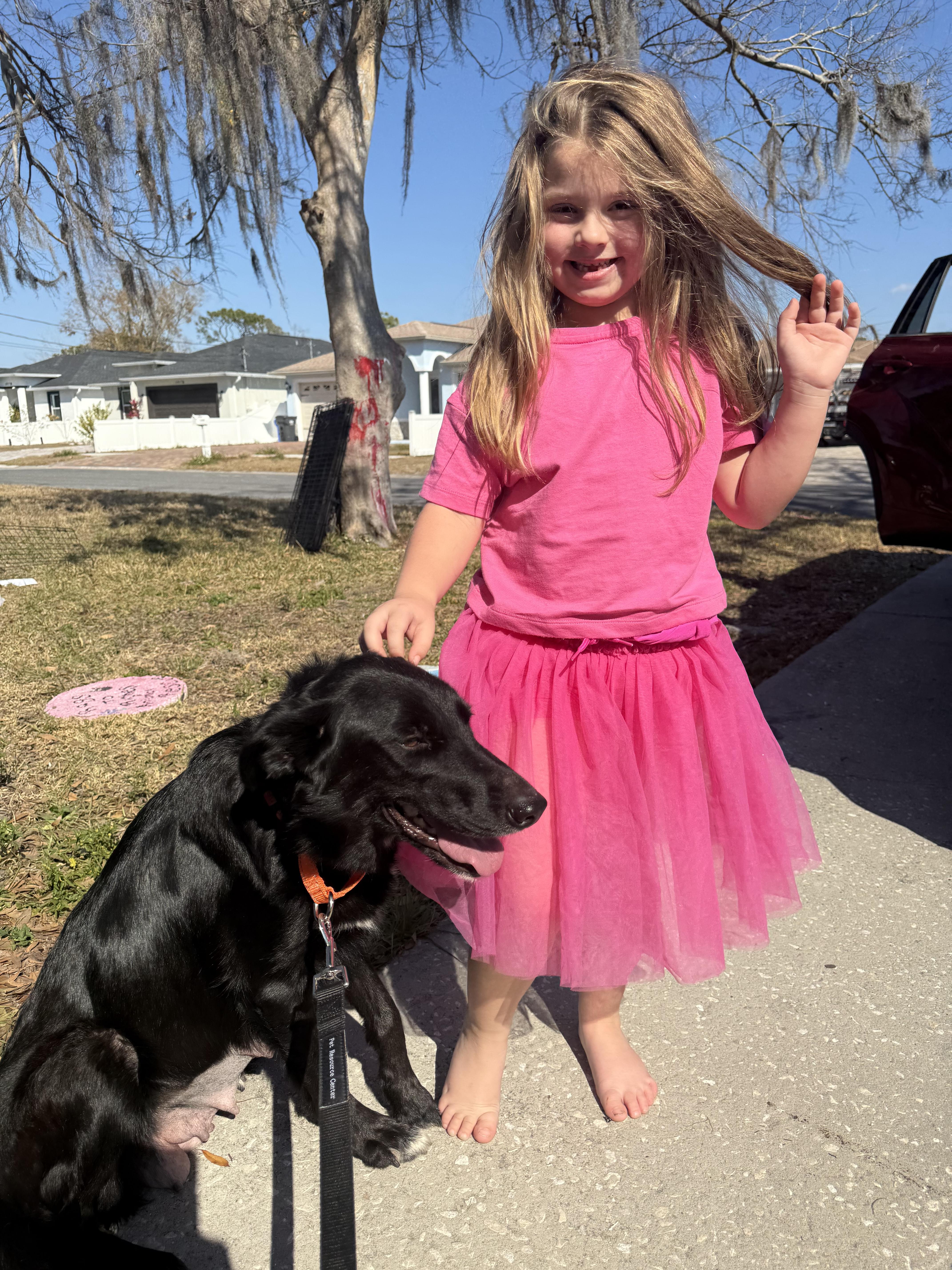 Scarlett thumbnail 6