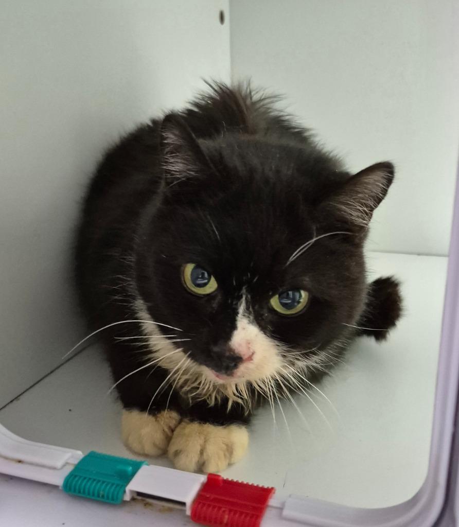 Pretty Socks photo 1