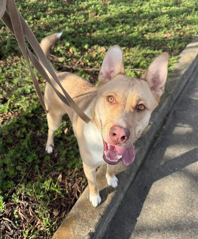 Derek Hostetler thumbnail 2