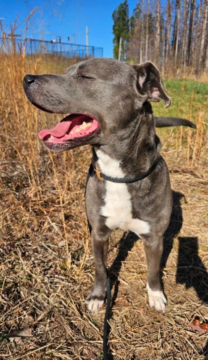 Daisy Duck thumbnail 2