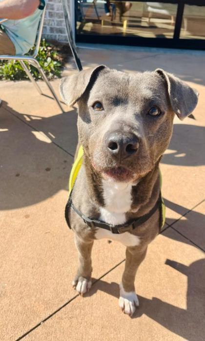 Daisy Duck thumbnail 3