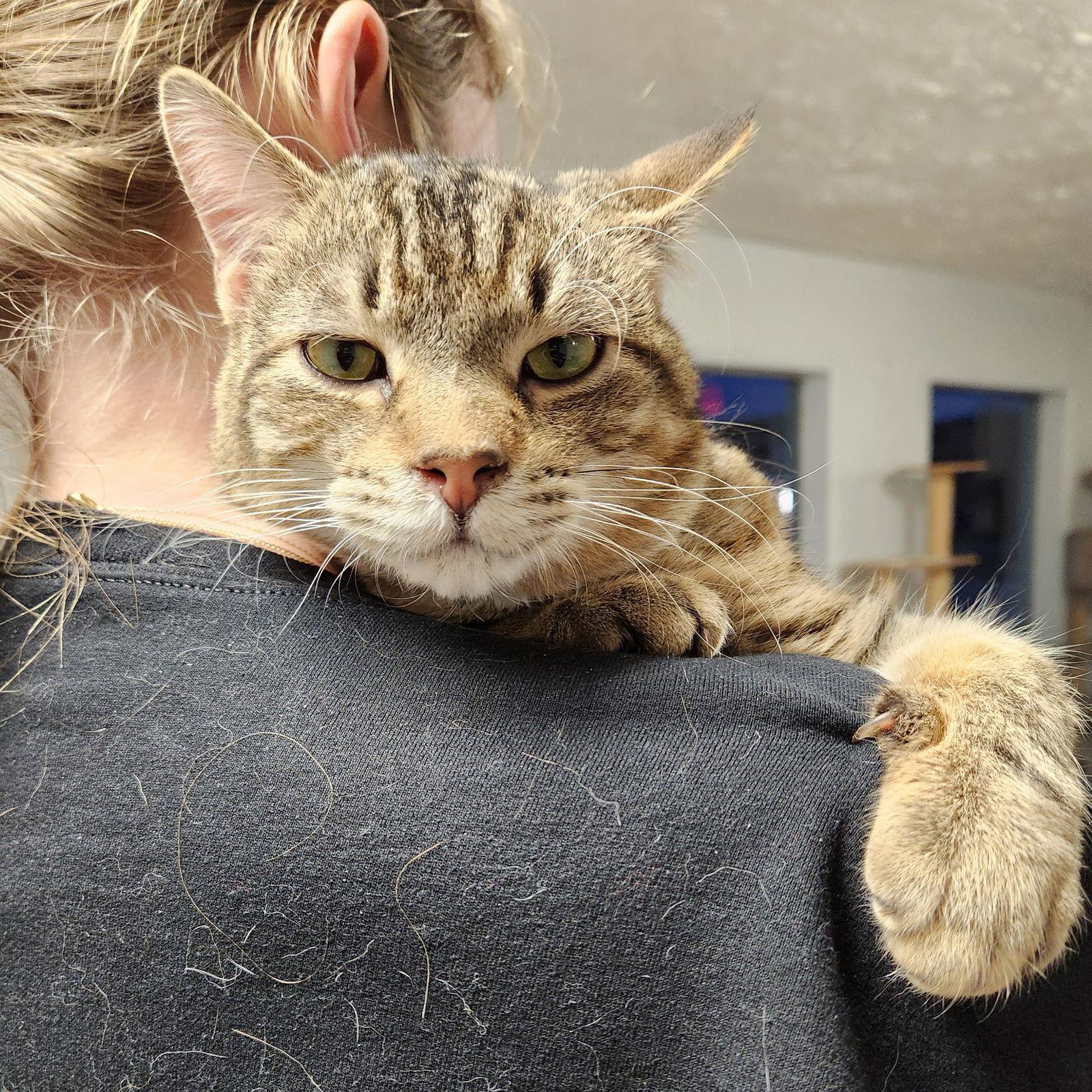 Humpty Dumpty thumbnail 2