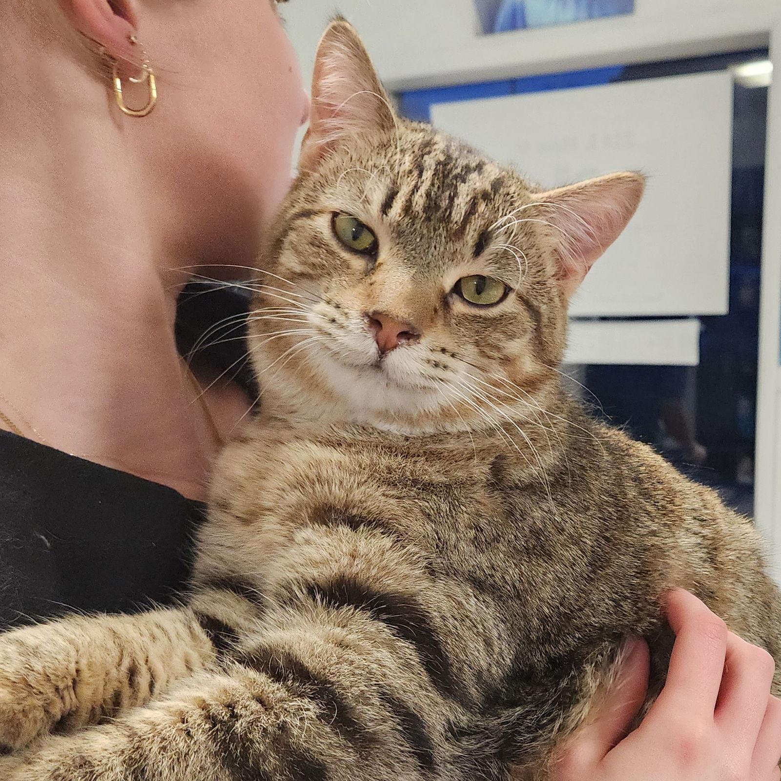 Humpty Dumpty thumbnail 3