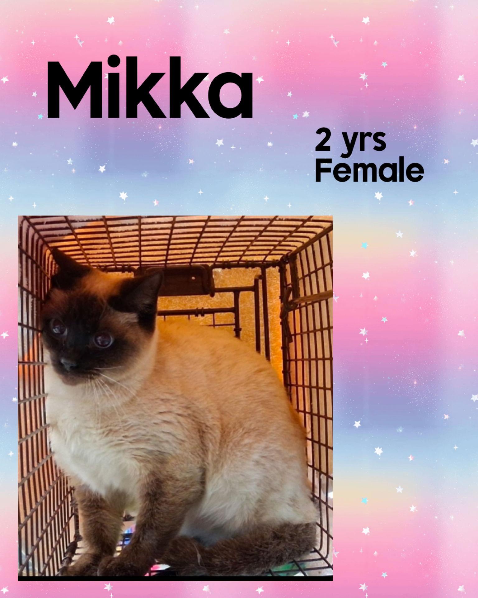 Mikka