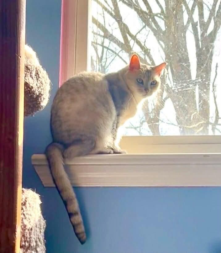 Sasha And Oliver thumbnail 2